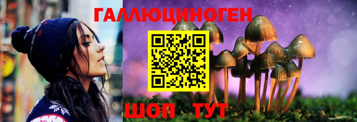 Псилоцибиновые грибы Cubensis Куйбышев